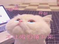 义乌联匀网络科技服务部