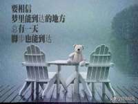 义乌联匀网络科技服务部