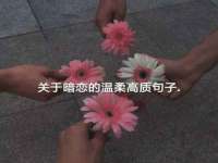 义乌联匀网络科技服务部