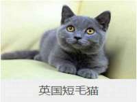 义乌联匀网络科技服务部