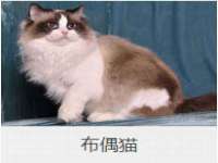 义乌联匀网络科技服务部