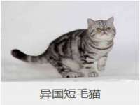 义乌联匀网络科技服务部
