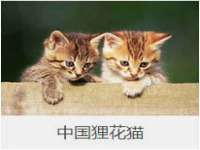 义乌联匀网络科技服务部