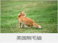 义乌联匀网络科技服务部