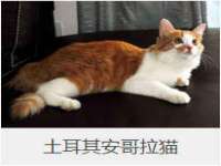 义乌联匀网络科技服务部