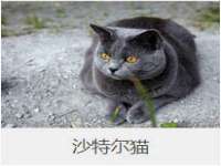 义乌联匀网络科技服务部
