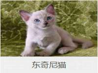 义乌联匀网络科技服务部