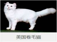 义乌联匀网络科技服务部