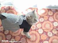 义乌联匀网络科技服务部