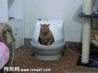 义乌联匀网络科技服务部