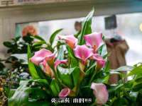 义乌联匀网络科技服务部