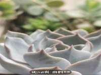 义乌联匀网络科技服务部