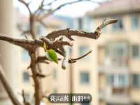 义乌联匀网络科技服务部