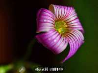 义乌联匀网络科技服务部