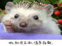 义乌联匀网络科技服务部