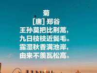 义乌联匀网络科技服务部