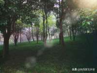 义乌联匀网络科技服务部