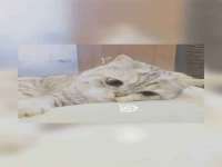 义乌联匀网络科技服务部
