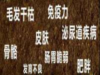 义乌联匀网络科技服务部