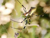 义乌联匀网络科技服务部