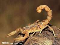 义乌联匀网络科技服务部