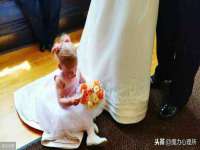 义乌联匀网络科技服务部