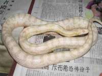 义乌联匀网络科技服务部