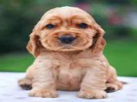 义乌联匀网络科技服务部